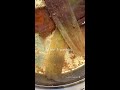 betta fish breeding fighter fish breeding process betta shorts bettabreeding