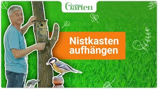 Nistkasten aufhängen | Eine Anleitung