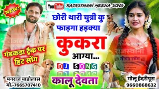 छोरी थारी चुन्नी कु फाड़गा हड़क्या कुकरा आग्या // Singer kalu devta new song 2022 // Meenawati song