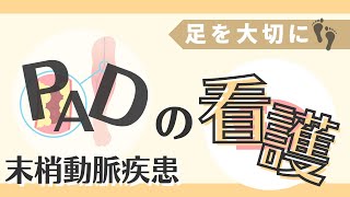 循環器専門医監修【末梢動脈疾患患者さんの看護】～リスクファクターから治療・療養支援までわかりやすく～