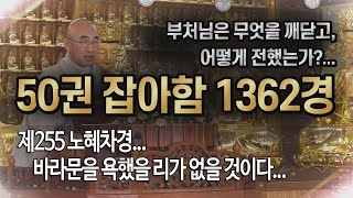 잡아함경... 1593회, 제255 노혜차경... 바라문을 욕했을 리가 없을 것이다...