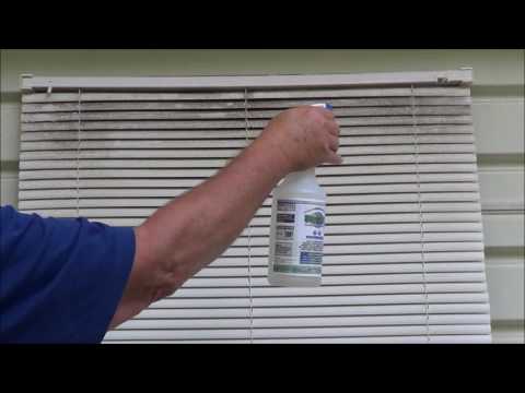 Mold & Mildew Cleaning from Blinds Mold & Mildew Cleaning from Blinds