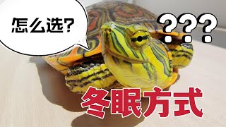 如何给龟龟选择合适的冬眠方式？不同冬眠方式有哪些优缺点？【Sun苏暖】