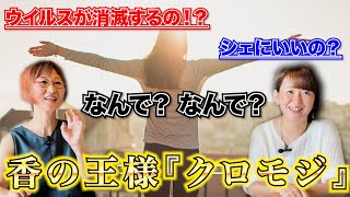 ウィルスが消滅するの？シェに良いの？　なんでなんで？香の王様『クロモジ』