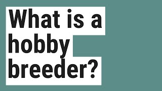 What is a hobby breeder?