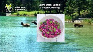 Vegan Cleansing - Spring Detox special Episode 83 of Vegan World 2026 Moonshot Podcast