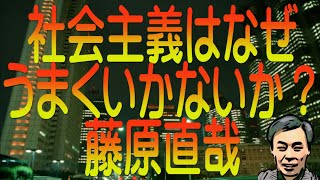 【ゆっくり解説】社会主義はなぜうまくいかないか？藤原直哉