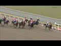 【競馬hd】2015フェブラリーステークス g1 コパノリッキー