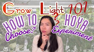 💡🌱Grow Light 101 | HOYAs | HOW TO choose grow light? | How grow light impacts PAR | PPFD | Lumens