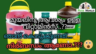 മുയലിനു ആവശ്യമുള്ള വിറ്റാമിൻസ്.?? | Vitamins needed for rabbit.??