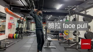 Cable 臉拉（face pull）：肩膀外旋小肌肉補強