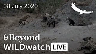 WILDwatch Live | 08 July, 2020 | Morning Safari | South Africa