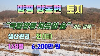 [매매완료] 양평 양동면 토지 168평, 206평 매매