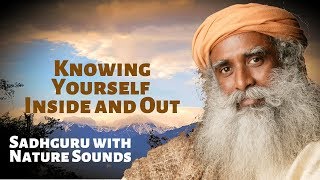Knowing Yourself, Inside and Out    Sadhguru with Sounds of Nature