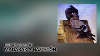 Domokos Előd - Madarak a Háztetőn