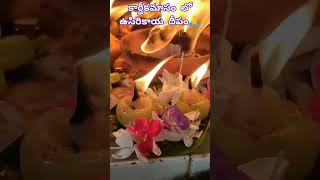 ఉసిరికాయ దీపం తప్పక వెలిగించండి||365 వత్తులు||కార్తీక దీపాలు||short