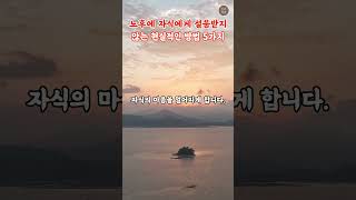 노후에 자식에게 설움받지 않는 현실적인 방법 5가지 #인생지혜 #인관관계 #좋을글귀