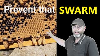 Ep 63 Beekeeping 101: Swarm Prevention and Control