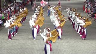 妃龍〔原宿表参道元氣祭スーパーよさこい2016　2日目　NHK前ストリート20160828〕