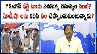 YSజగన్ హటాత్తుగా ఢిల్లీ ఎందుకెళ్తున్నాడు? | మోడీ, షాలతో ఏం చెప్పాలనుకుంటున్నాడు? |