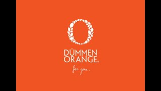 Dummen Orange Cut flower exhibition - 大田花き市場 - 2022.10.29