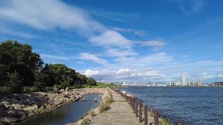 西淀川区横断　淀川河口矢倉緑地～大野川緑陰道路　散歩