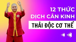 12 Thức Dịch Cân Kinh Dưỡng Sinh: Thải Độc Cơ Thể