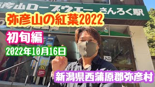 2022年10月16日 弥彦山の紅葉 初旬編 ちょっとまだ早かった ロープウェイ 西蒲原郡弥彦村