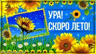 Скоро лето к нам придет, очень ждет его народ!