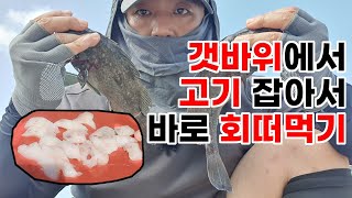 당일치기로 섬낚시가서 고기 잡고 바로 회 떠서 먹방까지! 포인트 공개