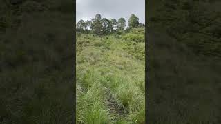 Inside the Crater of Volcano Xitle Pt 2