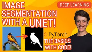 U-net Image Segmentation the basics (From Scratch!): Pytorch Deep Learning Tutorial