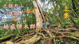 20221114【賞山毛櫸】北插天山 Ｏ型走(1進2出)經威赫神木群(上集)