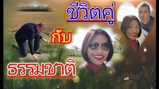 วันที่สดใสกับอากาศดีๆ|ต้นวอลนัท