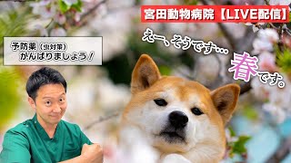 宮田動物病院 ライブ配信【MAHチャンネル】