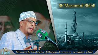 Q 4aad || Shiicada fikirkooda Qalloocan iyo waxa uqarsoon || Sh Maxamud Shibli