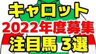 【キャロットクラブ】2022年度募集馬を評価【リリサイドの2021/アールブリュットの2021/マルティンスタークの2021】