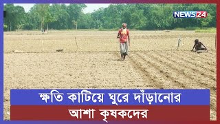 আগাম আলু চাষের জন্য বিখ্যাত নীলফামারী | News24