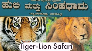 Tiger - Lion Safari || Tyavarekoppa || Shivamogga