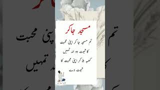 Tum Masjid Jakar Apni Mohabbat Ka Sabut Do  || Urdu Poetry Status || haal-e-dil