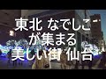 【東北美女が集まる美しい街　仙台】💛オシャレな街のオシャレな通り💛「宮城野通り」~仙台駅東口