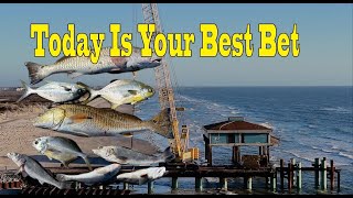 Your Best Damn Surf Fishing Report 12-30-24