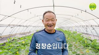 누룩으로 농사짓는 근대, 애호박, 청경채  | 정창순 부여 생산자 | 동북4구공공급식센터