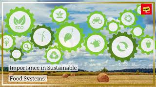 What is the Importance of Agroecology in Sustainable Food Systems?