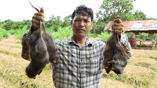 How to Cook Giant Rats Living the Holes -The Best Rat Recipe