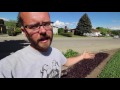 from seed to salad how to grow the perfect mix of fresh greens