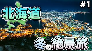 Re:北海道で冬の絶景を追う。2024-2025 #1　東京〜函館〜夜景