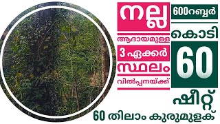 3 ഏക്കർ സ്ഥലം വിൽപ്പനയ്ക്ക് #realestate #highrangeproperties #landforsale #agriculture #idukki