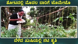 Actress Shruti land Tomato crop | Kannada actress | shruti | farming | chandanavana