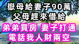 嶽母給妻子90萬，父母趕來借給弟弟買房，妻子打通電話我人財兩空#珍珍說故事#心書時光 #為人處事 #生活經驗 #情感故事 #唯美频道 #爽文